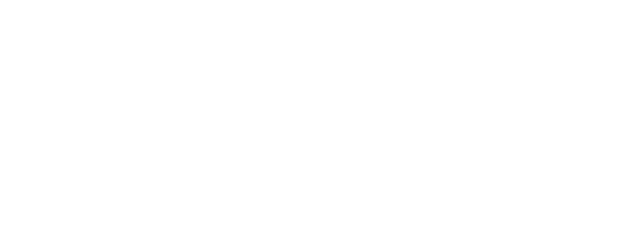 Daisy Flower Farm